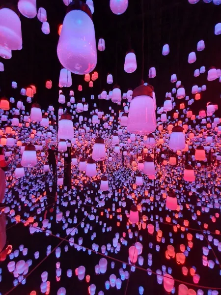 teamLab Borderless: MORI Building DIGITAL ART MUSEUM