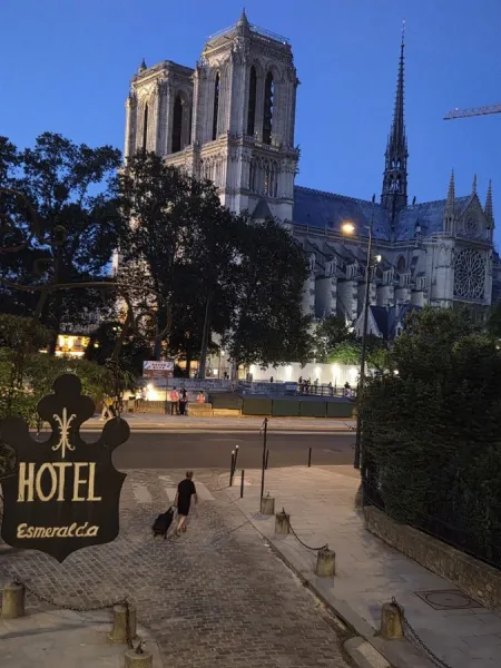 The Steps of Notre Dame