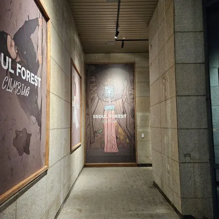 서울숲클라이밍 종로점