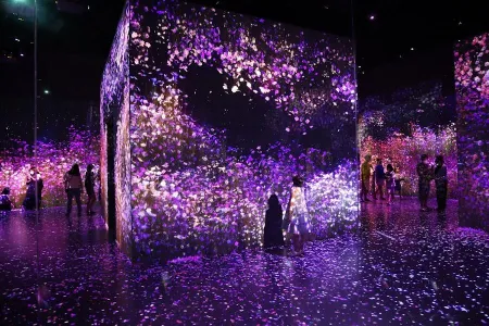 Arte Museum Valley Gangneung