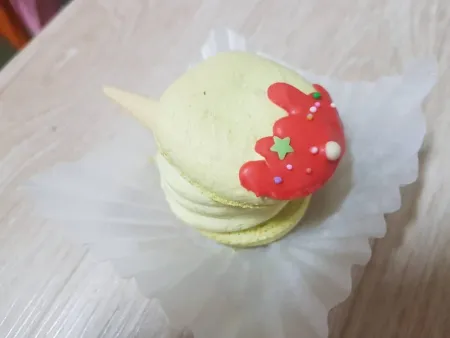 지극정성마카롱