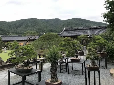 Ajibang