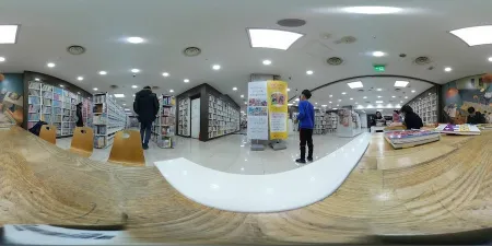 アラジン中古書店 新林店