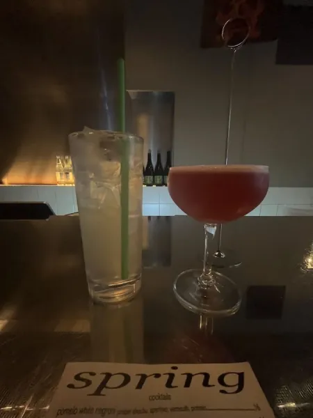 Spring (bar)