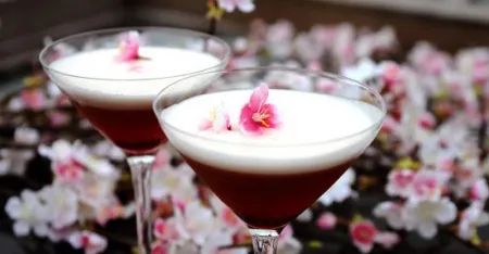 Cocktail Gastronomy KYU YASUI TOKYO