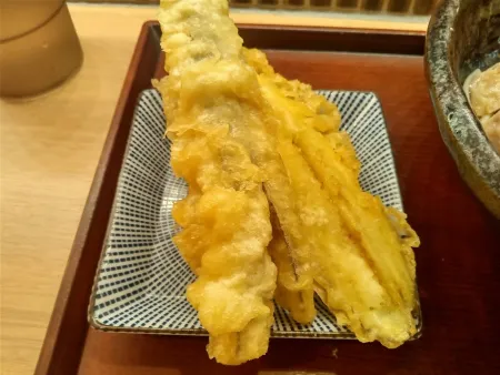Sagatani Akihabara