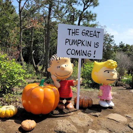 Snoopy Garden