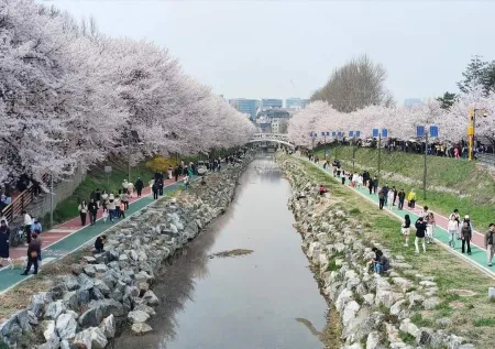 Yangjaecheon Stream