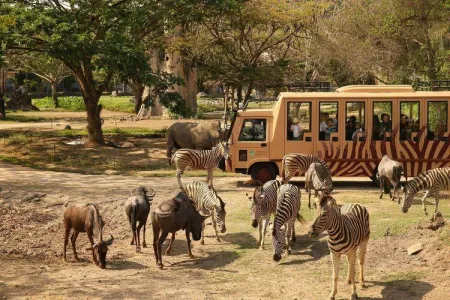 Taman Safari