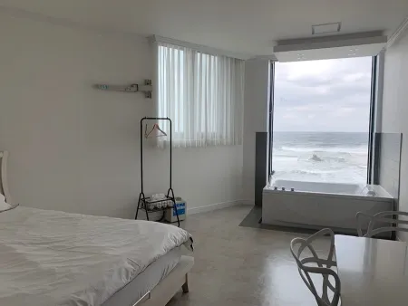 안목26