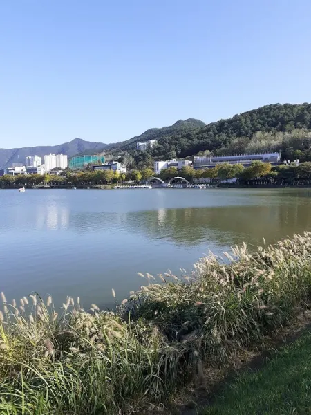 옹심이칼국수 서구점