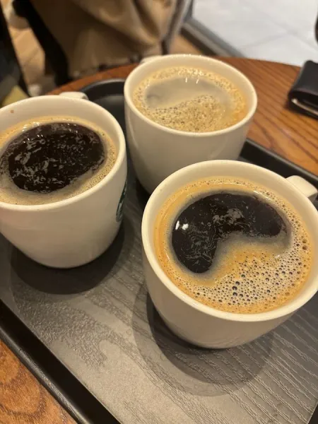 スターバックス コーヒー 新龍山駅店