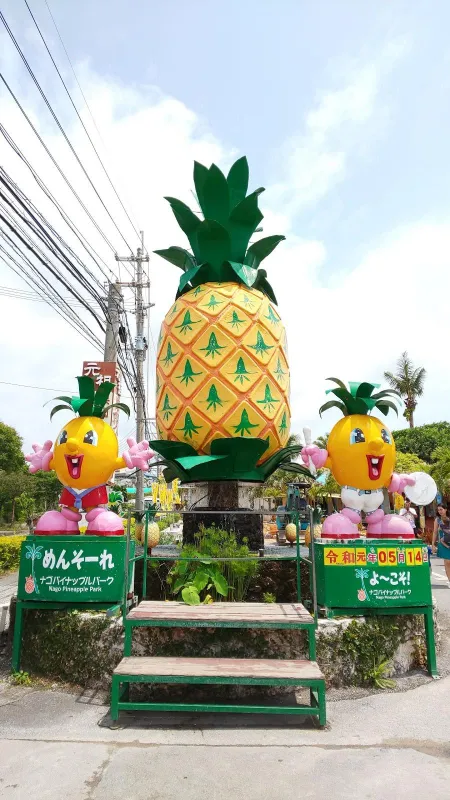 Nago Pineapple Park