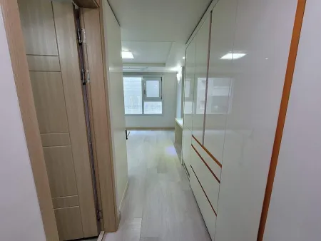 코스모시티