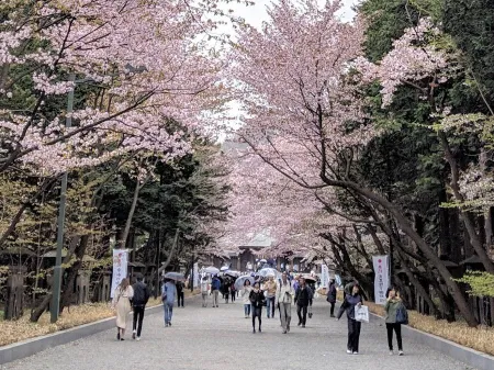 Maruyama Park
