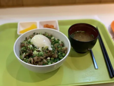 Curry Katsu