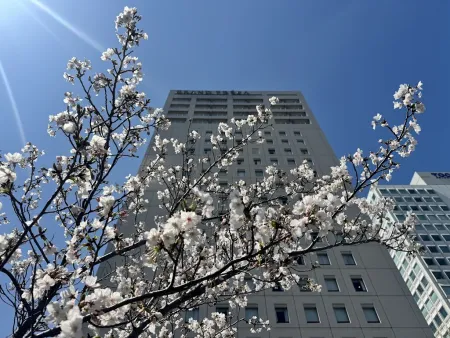 소테쓰그란도후렛사 도쿄베이아리아케