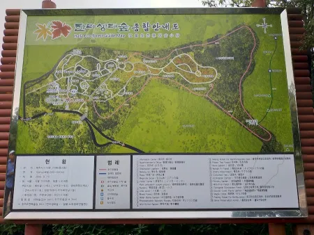 Halla Ecological Forest